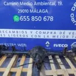 DIFERENCIAL TRASERO 100506