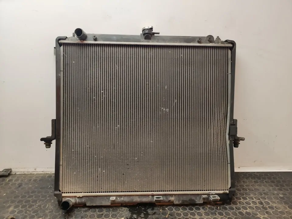 RADIADOR AGUA 106249