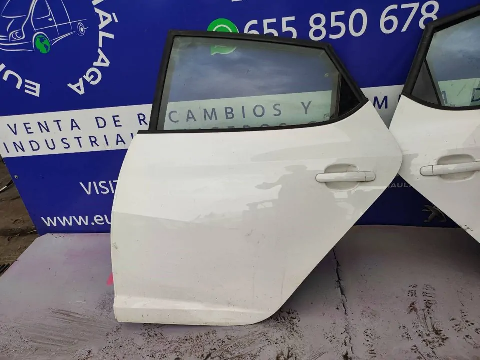 PUERTA TRASERA IZQUIERDA 100165