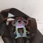 CINTURON SEGURIDAD DELANTERO DERECHO 114186