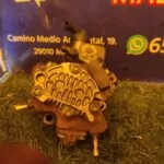 BOMBA INYECCION 96786
