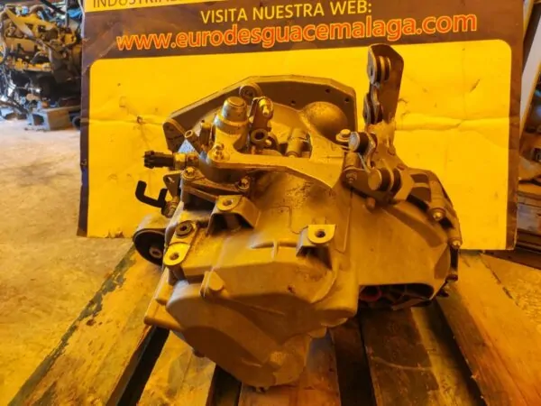 CAJA CAMBIOS 100217