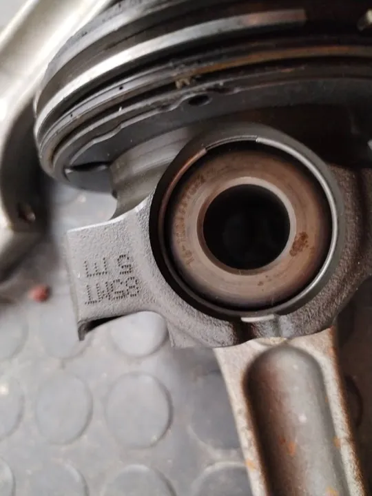 PISTON 113184