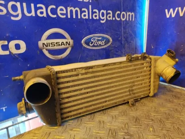 INTERCOOLER 101068
