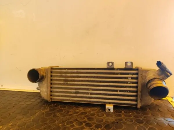 INTERCOOLER 107110