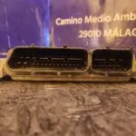 CENTRALITA MOTOR UCE 96733