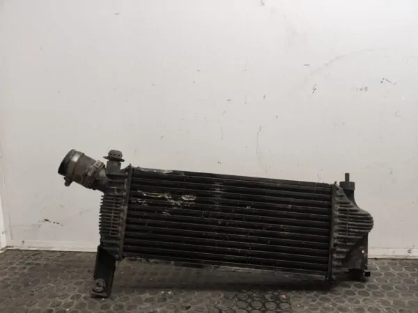 INTERCOOLER 106065