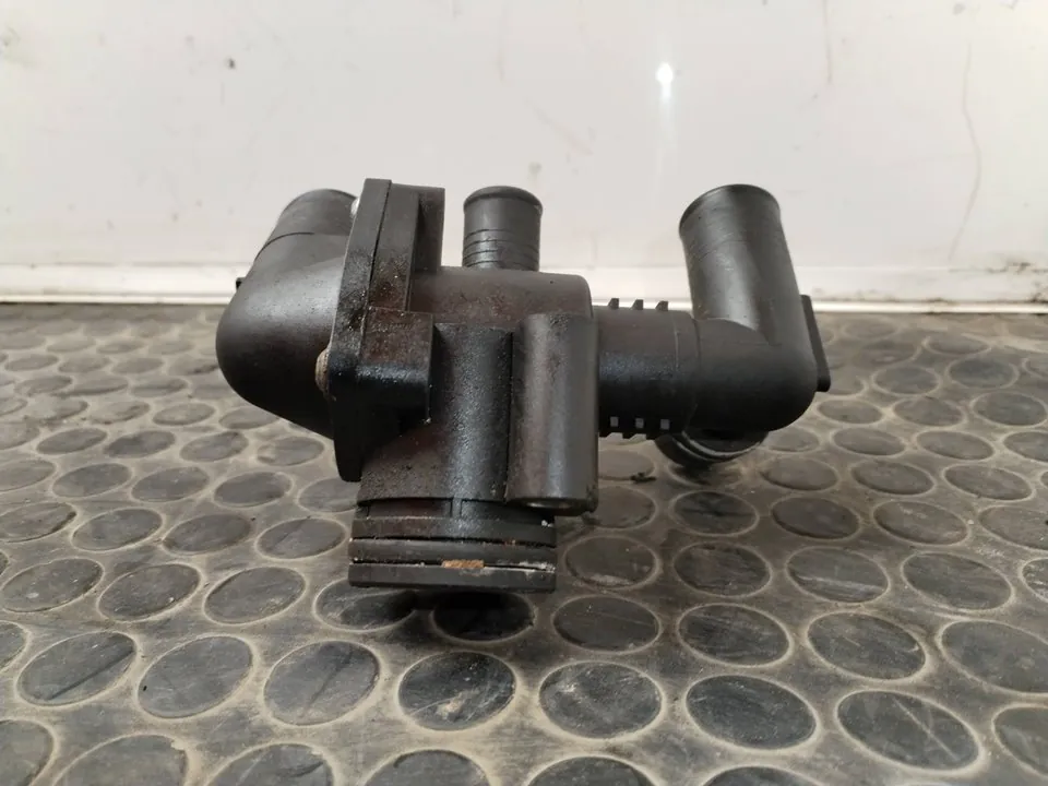 TERMOSTATO 110336