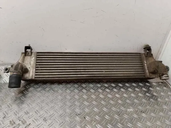 INTERCOOLER 118361