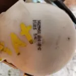 CINTURON SEGURIDAD TRASERO DERECHO 117816