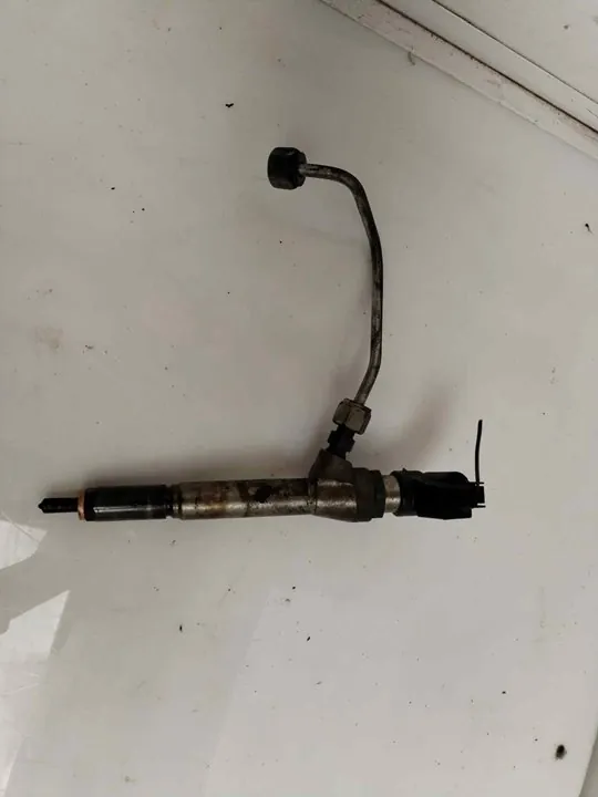 INYECTOR 118434
