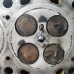 CULATA 119555