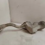 DEPOSITO LIMPIA 120417