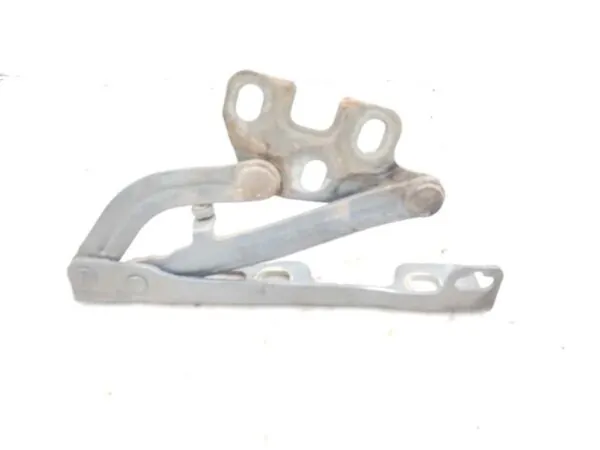BISAGRA CAPO IZQUIERDA 122430