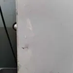 PUERTA DELANTERA DERECHA 122974
