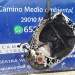 CAJA CAMBIOS 123516