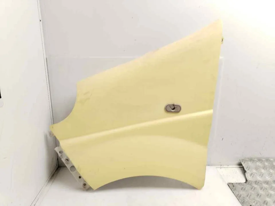 ALETA DELANTERA IZQUIERDA 123919