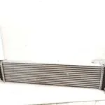INTERCOOLER 124658