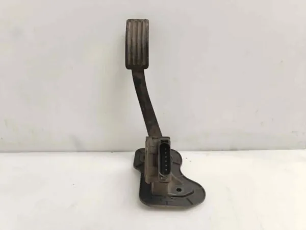 PEDAL ACELERADOR 124235