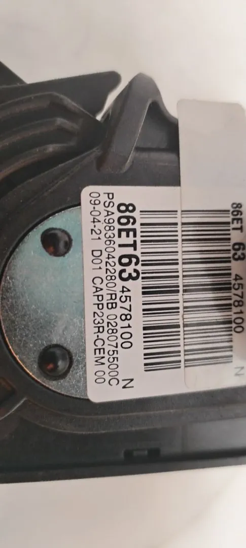 PEDAL ACELERADOR 124842