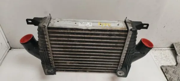 INTERCOOLER 124906