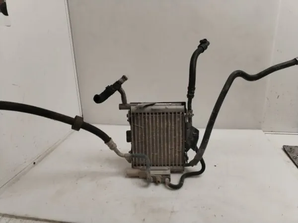 INTERCOOLER 125197