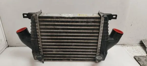 INTERCOOLER 124906