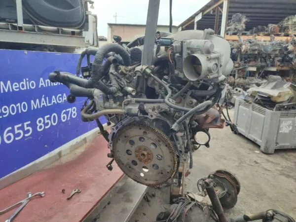MOTOR COMPLETO 125650