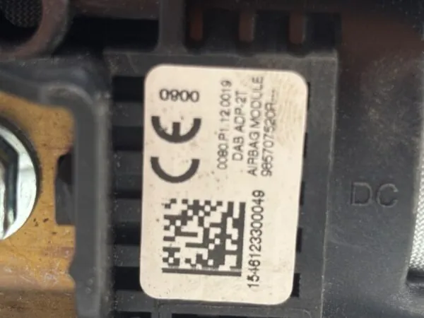 AIRBAG DELANTERO IZQUIERDO 125419