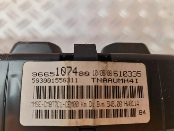 CUADRO INSTRUMENTOS 126484