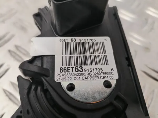 PEDAL ACELERADOR 125968