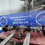 DIFERENCIAL TRASERO 126870