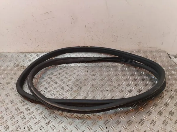 GUARNECIDO PUERTA DELANTERA IZQUIERDA 128561
