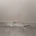 TUBOS AIRE ACONDICIONADO 126536