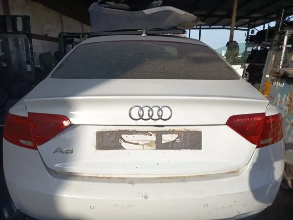 PORTON TRASERO 127248