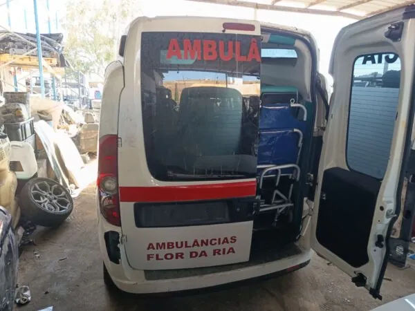 PORTON TRASERO IZQUIERDO 129284