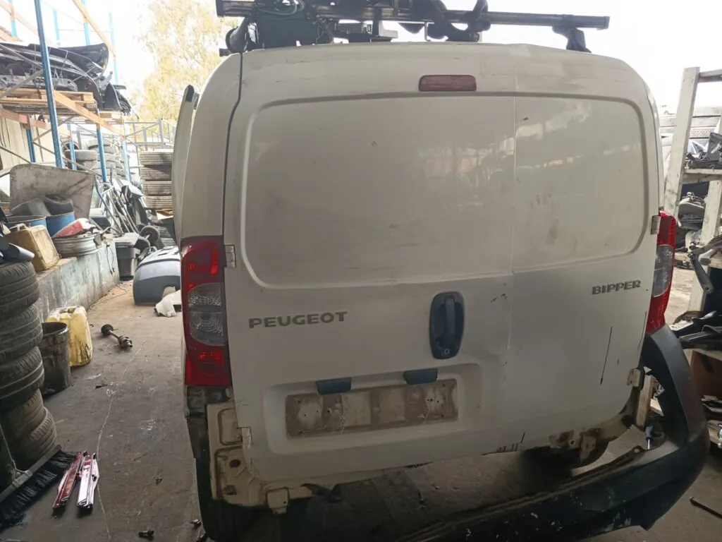 PORTON TRASERO IZQUIERDO 129932