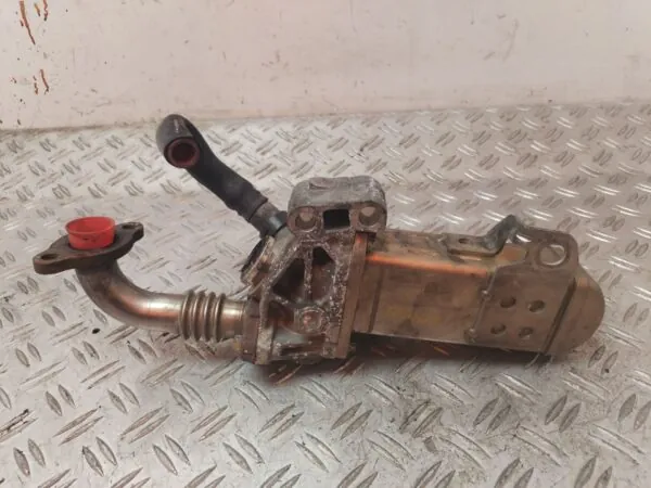 VALVULA EGR 124905